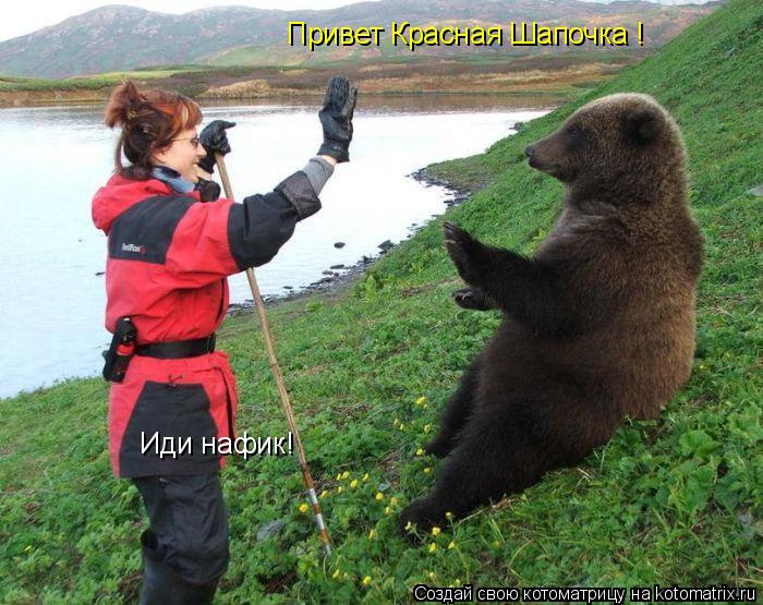 Котоматрица: Привет Красная Шапочка ! Иди нафик!