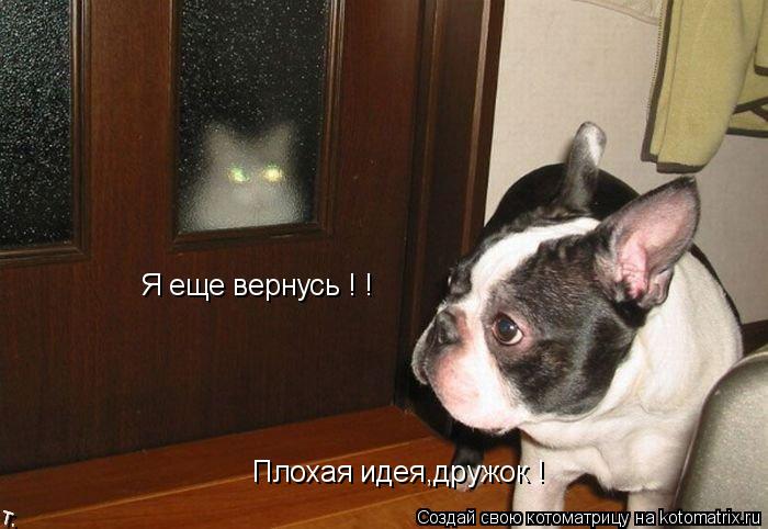 Котоматрица: Я еще вернусь ! ! Плохая идея,дружок !