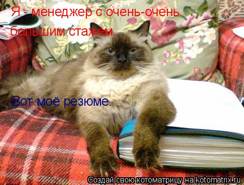 Котоматрица: Я - менеджер с очень-очень большим стажем. Вот моё резюме.