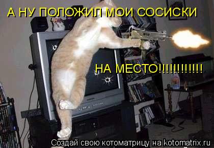 Котоматрица: А НУ ПОЛОЖИЛ МОИ СОСИСКИ НА МЕСТО!!!!!!!!!!!!