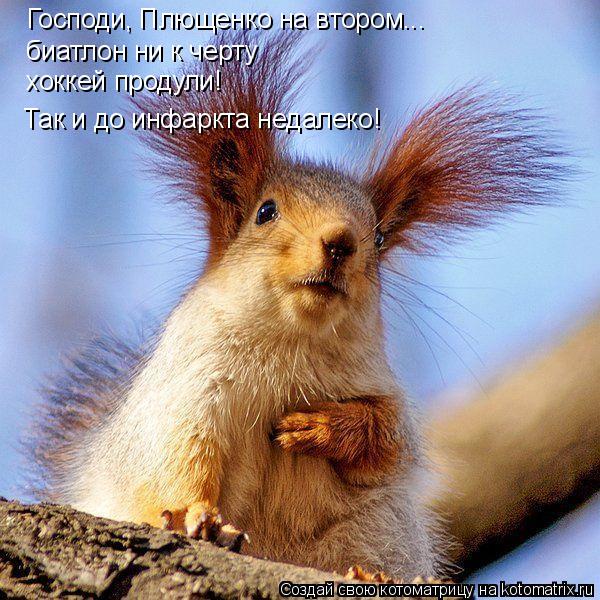Котоматрица: Господи, Плющенко на втором... биатлон ни к черту хоккей продули! Так и до инфаркта недалеко!