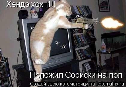 Котоматрица: Хендэ хох !!!! Положил Сосиски на пол