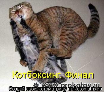Котбоксинг. Финал... Котоматрица: Котбоксинг. Финал