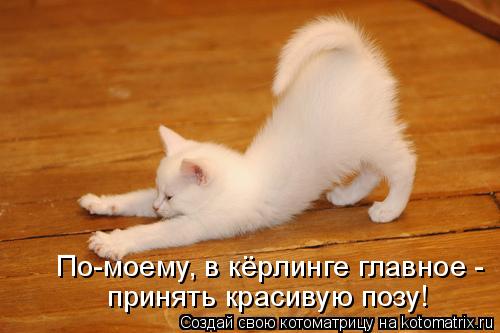 По-моему, в кёрлинге главное - принять красивую позу!... Котоматрица: По-моему, в кёрлинге главное - принять красивую позу!