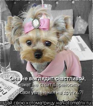 Она не выглядит счастливой, может не стоит переносить свои увлечения на других ?!... Котоматрица: Она не выглядит счастливой, может не стоит переносить свои увлечения на других ?!