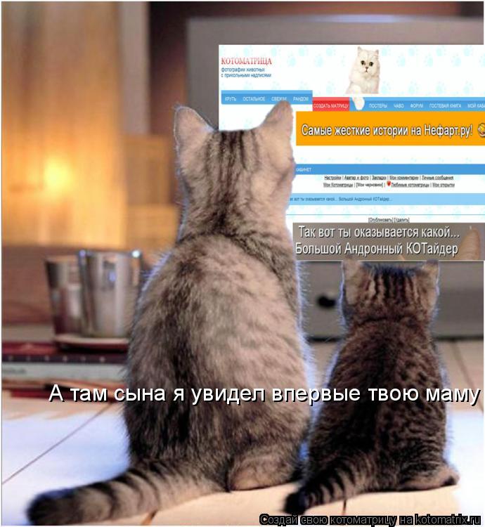 А там сына я увидел впервые твою маму... Котоматрица: А там сына я увидел впервые твою маму