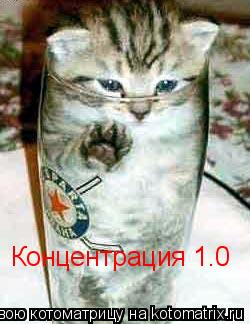 Концентрация 1.0... Котоматрица: Концентрация 1.0