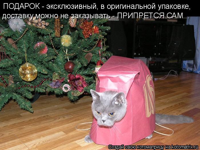 Котоматрица: ПОДАРОК - эксклюзивный, в оригинальной упаковке, доставку можно не заказывать - ПРИПРЕТСЯ САМ...