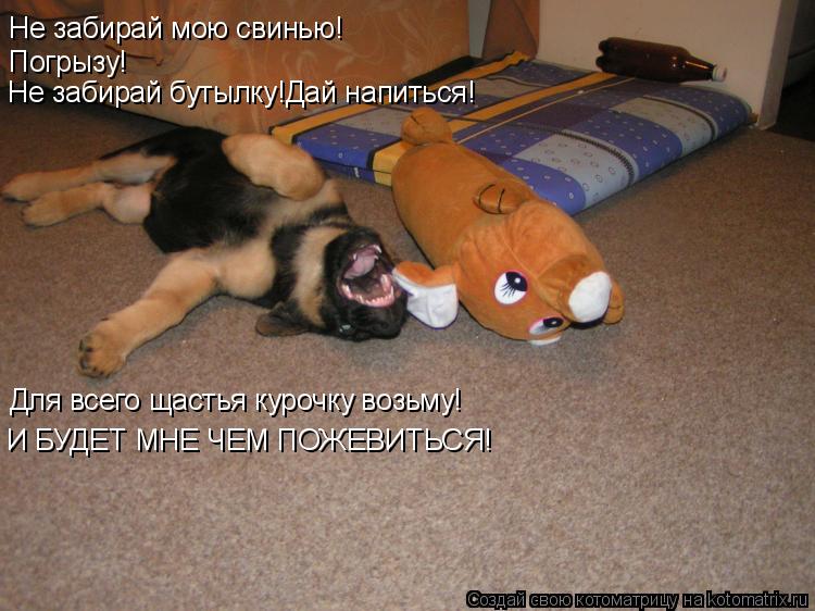 Котоматрица: Не забирай мою свинью! Погрызу! Не забирай бутылку!Дай напиться! Для всего щастья курочку возьму! И БУДЕТ МНЕ ЧЕМ ПОЖЕВИТЬСЯ!