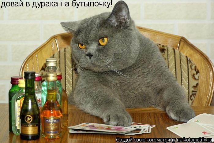 Котоматрица: довай в дурака на бутылочку!