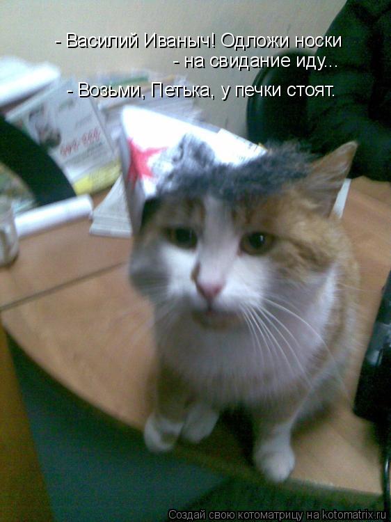 Котоматрица: - Василий Иваныч! Одложи носки  - на свидание иду... - Возьми, Петька, у печки стоят.