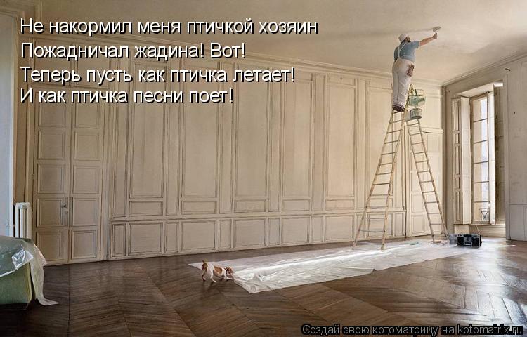 Не накормил меня птичкой хозяин Пожадничал жадина! Вот! Теперь пусть как птичка летает! И как птичка ... Котоматрица: Не накормил меня птичкой хозяин Пожадничал жадина! Вот! Теперь пусть как птичка летает! И как птичка песни поет!