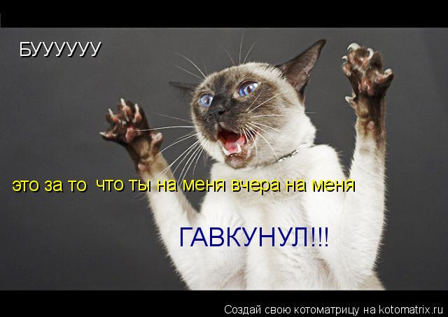 Котоматрица: БУУУУУУ это за то  что ты на меня вчера на меня  ГАВКУНУЛ!!!
