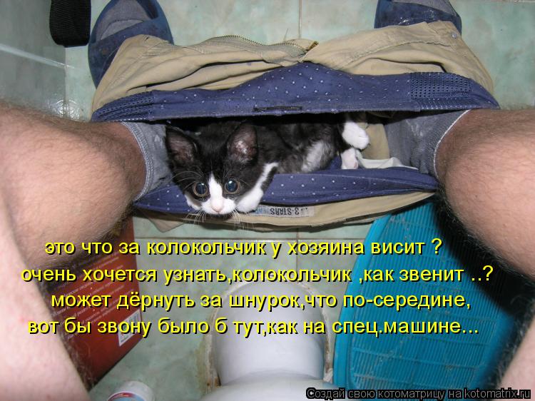 это что за колокольчик у хозяина висит ? очень хочется узнать,колокольчик ,как звенит ..? может дёрну... Котоматрица: это что за колокольчик у хозяина висит ? очень хочется узнать,колокольчик ,как звенит ..? может дёрнуть за шнурок,что по-середине, вот бы звон