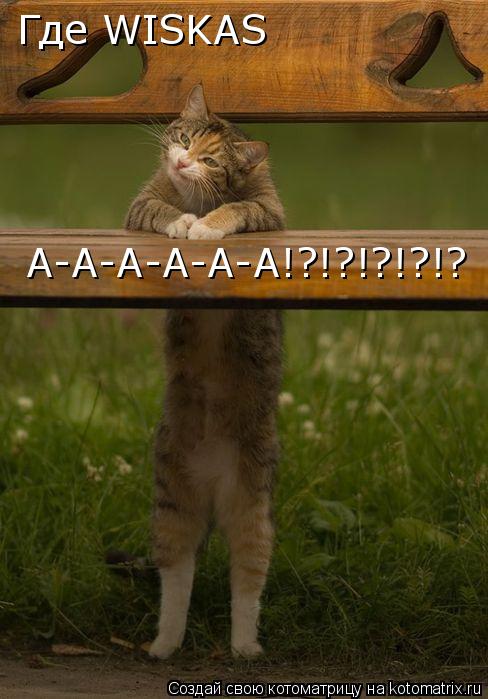 Котоматрица: Где WISKAS А-А-А-А-А-А!?!?!?!?!?
