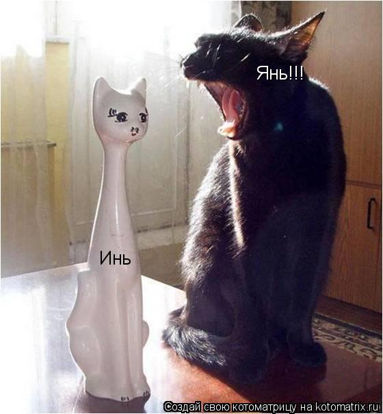 Котоматрица: Инь Янь!!!