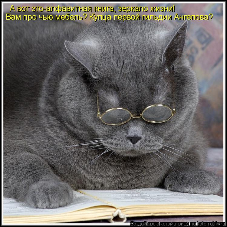 Котоматрица: А вот это-алфавитная книга, зеркало жизни! Вам про чью мебель? Купца первой гильдии Ангелова?