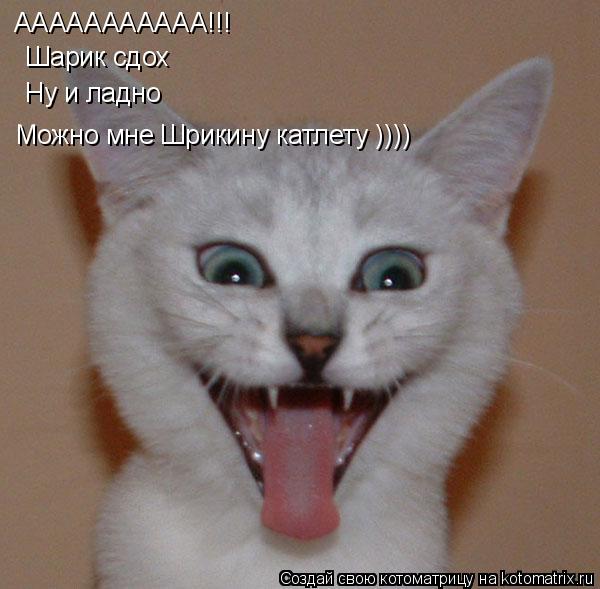 Котоматрица: ААААААААААА!!! Шарик сдох Ну и ладно  Можно мне Шрикину катлету ))))