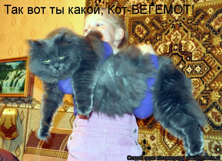 Котоматрица: Так вот ты какой, Кот-БЕГЕМОТ!