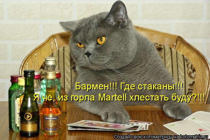 Котоматрица: Бармен!!! Где стаканы!!! Я че, из горла Martell хлестать буду?!!!