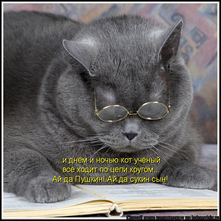 Котоматрица: ...и днём и ночью кот учёный всё ходит по цепи кругом... Ай да Пушкин! Ай да сукин сын!