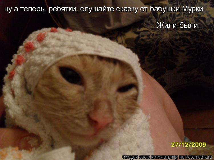 Котоматрица: ну а теперь, ребятки, слушайте сказку от бабушки Мурки Жили-были...