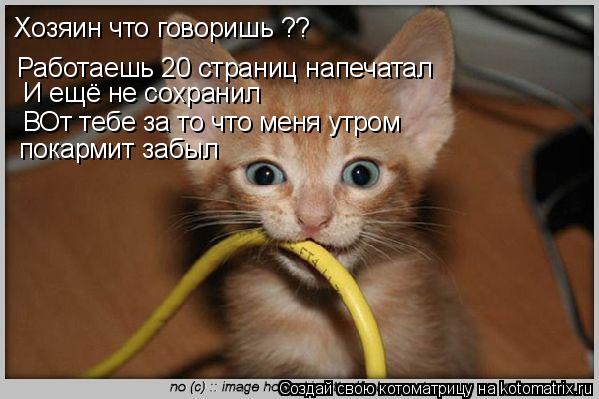 Котоматрица: Хозяин что говоришь ??  Работаешь 20 страниц напечатал  И ещё не сохранил   ВОт тебе за то что меня утром  покармит забыл