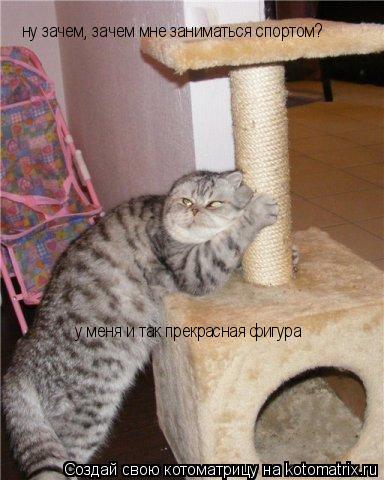 Котоматрица: ну зачем, зачем мне заниматься спортом? у меня и так прекрасная фигура