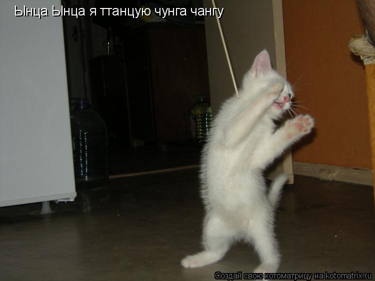 Котоматрица: Ынца Ынца я ттанцую чунга чангу