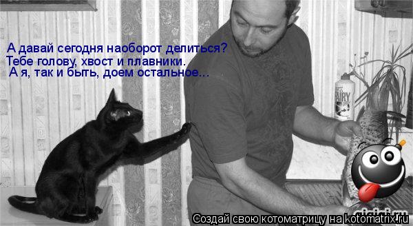 Котоматрица: А давай сегодня наоборот делиться? Тебе голову, хвост и плавники. А я, так и быть, доем остальное...