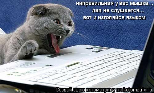 Котоматрица: ниправильная у вас мышка... лап не слушается... вот и изголяйся языком