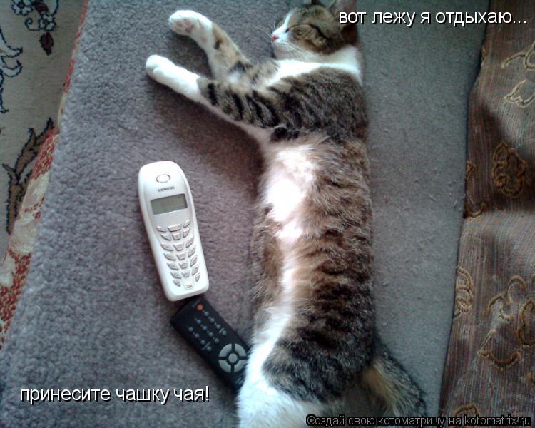 Котоматрица: вот лежу я отдыхаю... принесите чашку чая!