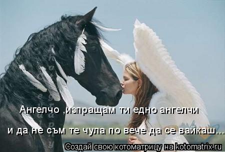 Котоматрица: Ангелчо ,изпращам ти едно ангелчи  и да не съм те чула по вече да се вайкаш....