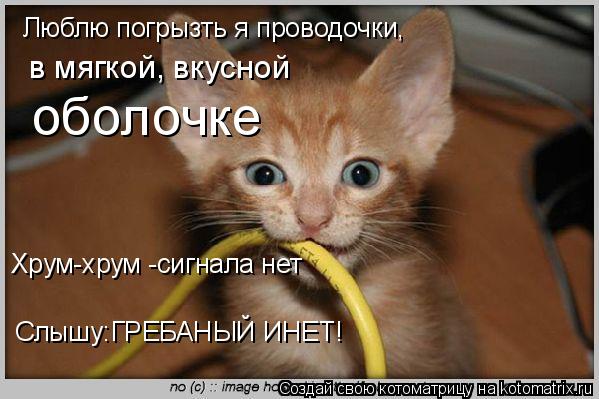 Котоматрица: Люблю погрызть я проводочки, в мягкой, вкусной  оболочке Хрум-хрум -сигнала нет Слышу:ГРЕБАНЫЙ ИНЕТ!