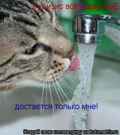 Котоматрица: в кризис всё невкусноЕ   достаётся только мне!