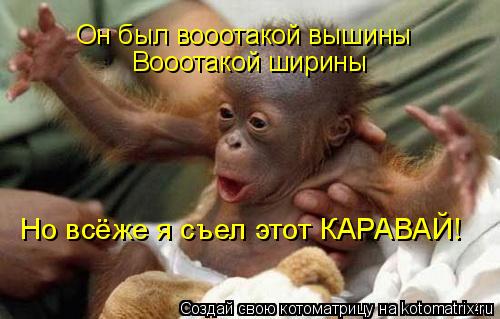 Котоматрица: Он был вооотакой вышины Вооотакой ширины Но всёже я съел этот КАРАВАЙ!