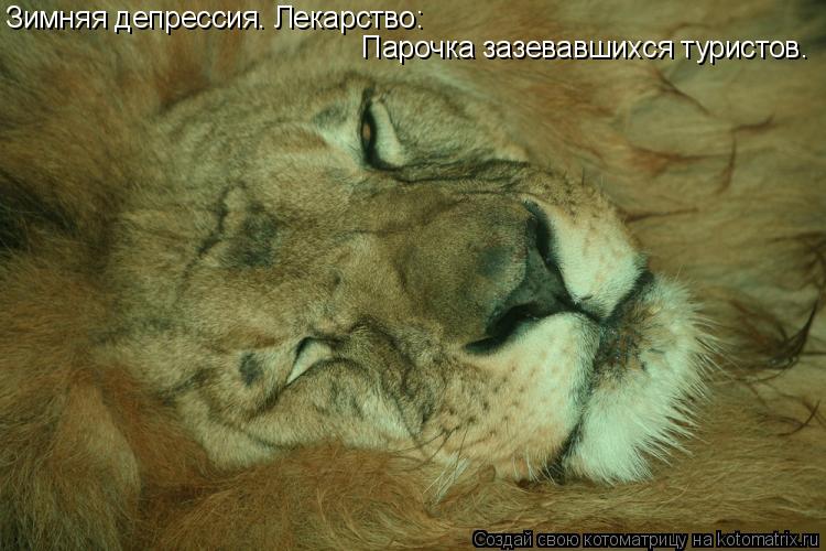 Котоматрица: Зимняя депрессия. Лекарство:  Парочка зазевавшихся туристов.