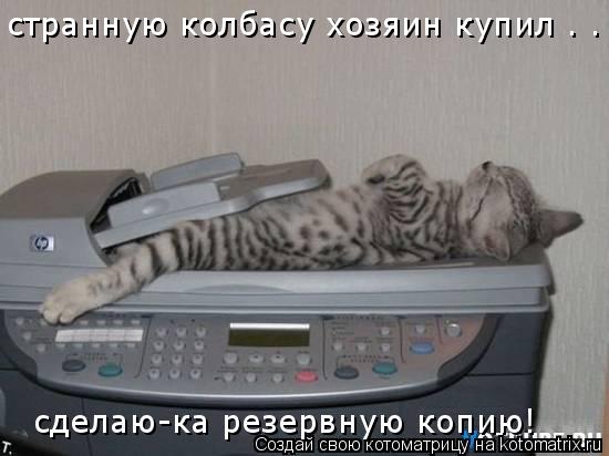 Котоматрица: странную колбасу хозяин купил . . .   странную колбасу хозяин купил . . .   сделаю-ка резервную копию!