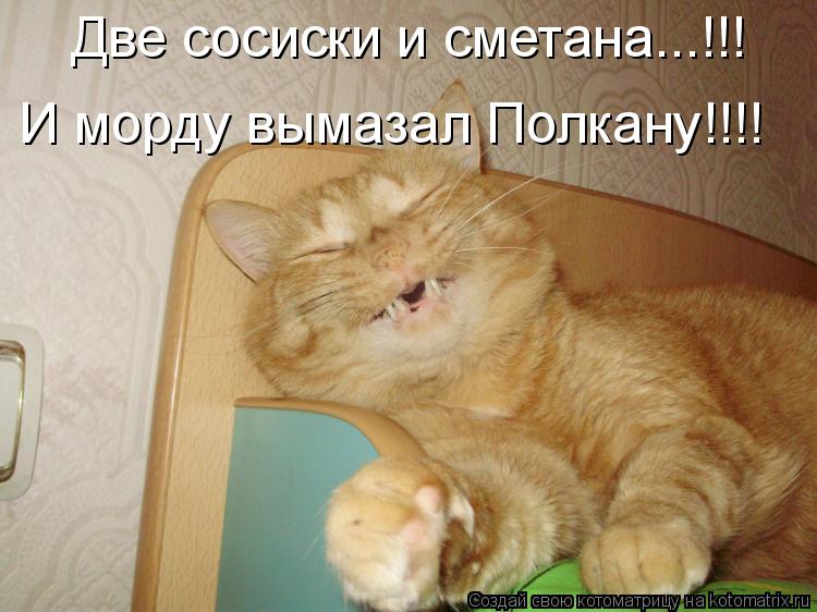 Котоматрица: Две сосиски и сметана...!!! И морду вымазал Полкану!!!!