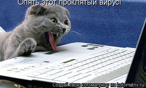 Котоматрица: Опять этот проклятый вирус!