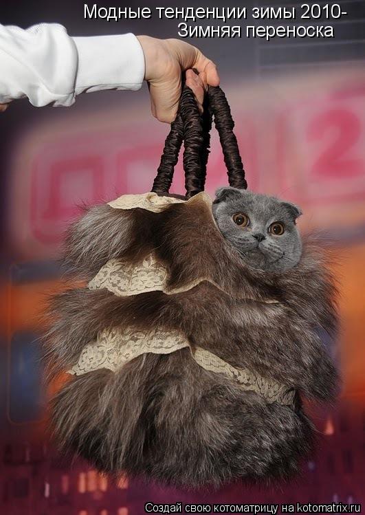 Котоматрица: Модные тенденции зимы 2010- Зимняя переноска