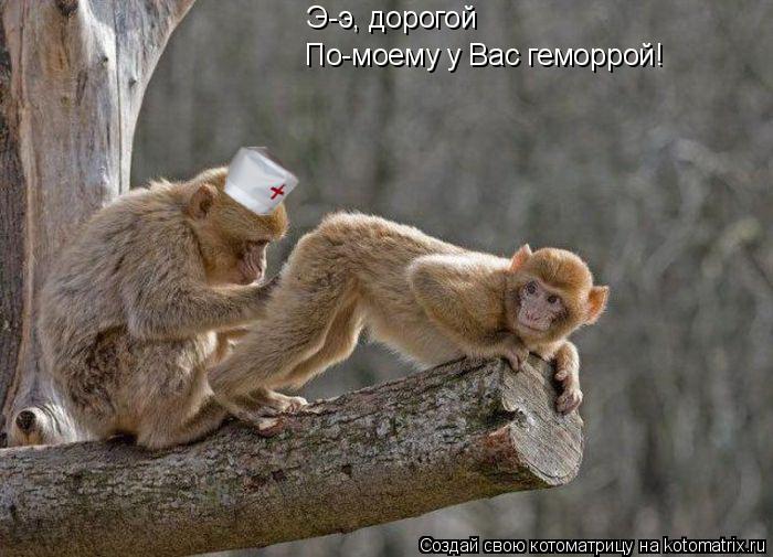 Котоматрица: Э-э, дорогой По-моему у Вас геморрой!
