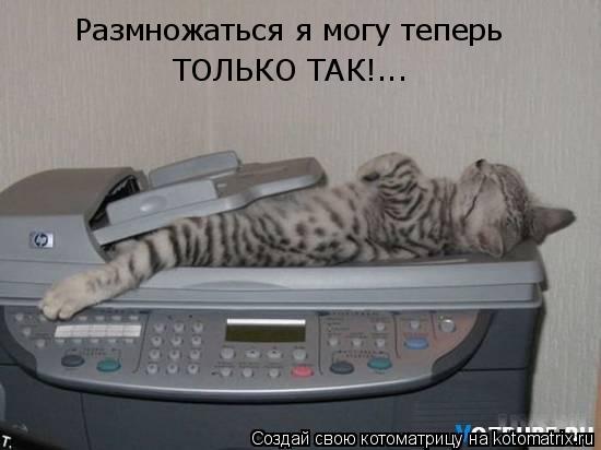 Котоматрица: Размножаться я могу теперь ТОЛЬКО ТАК!...