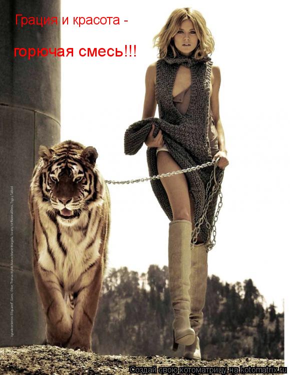 Котоматрица: Грация и красота - горючая смесь!!!