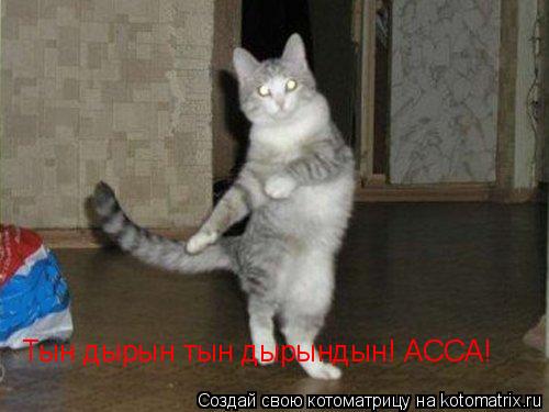 Котоматрица: Тын дырын тын дырындын! АССА!