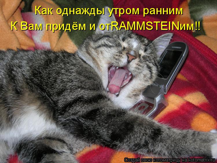 Котоматрица: Как однажды утром ранним К Вам придём и отRAMMSTEINим!!