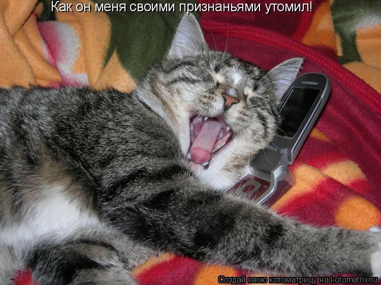 Котоматрица: Как он меня своими признаньями утомил!