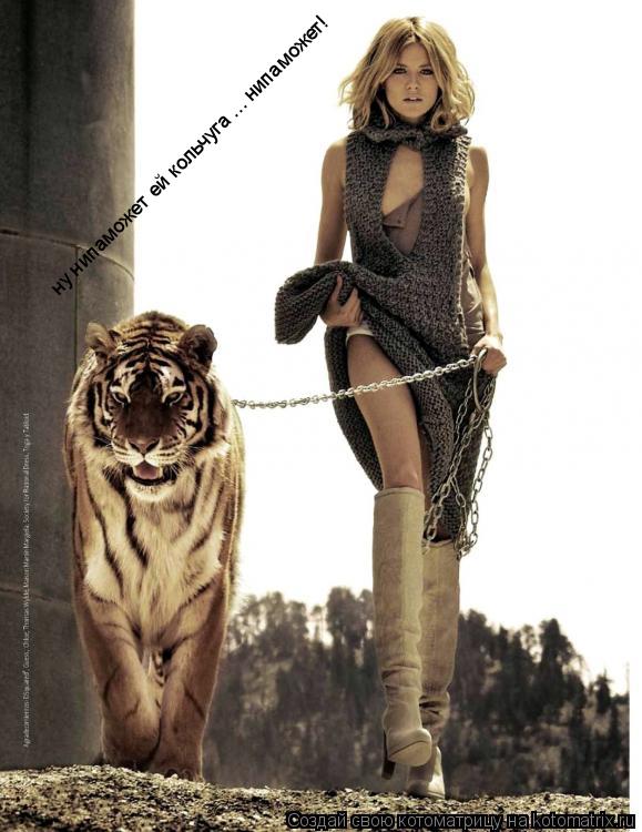 Котоматрица: ну нипаможет ей кольчуга ... нипаможет!