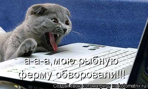 а-а-а,мою рыбную ферму обворовали!!!... Котоматрица: а-а-а,мою рыбную ферму обворовали!!!