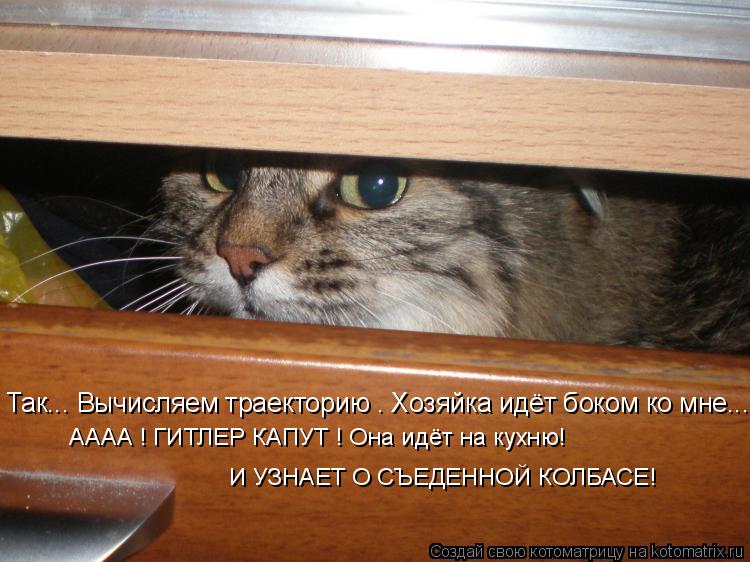 Котоматрица: Так... Вычисляем траекторию . Хозяйка идёт боком ко мне... АААА ! ГИТЛЕР КАПУТ ! Она идёт на кухню! И УЗНАЕТ О СЪЕДЕННОЙ КОЛБАСЕ!